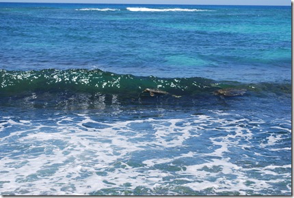 Hawaii 2012 - 5 178